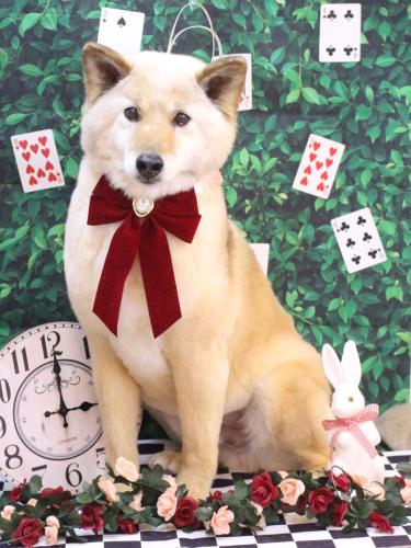 20250402れんくん